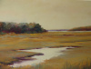 GOLD MARSH